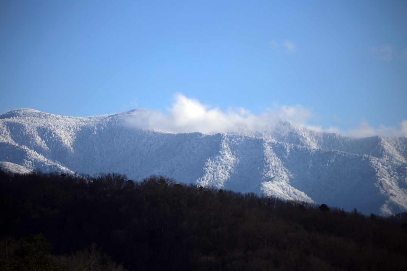 Smoky Mountain Winter