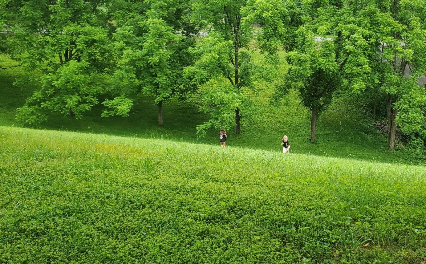 Spcacious Outdoor Yard